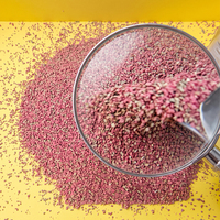 Litière pour chat en bentonite de sodium Miya OEM ODM, veine rose, 99,1 %, contrôle des odeurs, très faible teneur en poussière, forte absorption, 4,55 kg
