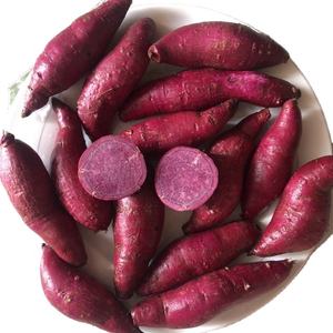 Tranches de patate douce rouge/jaune surgelées de haute qualité, découpées en cubes, pelées, cuites à la vapeur, qualité supérieure, emballées sous vide - Product Image 1