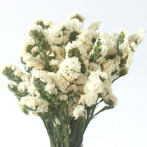 Vraies fleurs préservées oubliez-moi pas fleurs séchées Statice Limonium pour la maison Weedinf Decor - Product Image 4