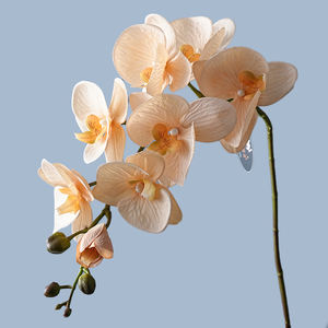 Decoración para Sala <span class=keywords><strong>de</strong></span> Estar, Flor Artificial <span class=keywords><strong>de</strong></span> Phalaenopsis, Orquídea <span class=keywords><strong>de</strong></span> Estilo Europeo, 8 Cabezas, Tacto Humectante - Product Image 2