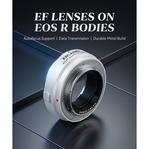 Adaptateur EF-EOS R, adaptateur de monture d'objectif à mise au point automatique pour appareil photo à monture RF EOS <span class=keywords><strong>RP</strong></span> R50 R5 R5II R6 <span class=keywords><strong>R7</strong></span> R8 R10 R100 - Product Image 5