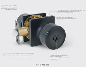 Serratura a catenaccio a cilindro singolo per impieghi gravosi contemporanea quadrata serratura per porta d'ingresso anteriore aletta in acciaio inossidabile spazzolato