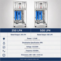 Système d'osmose inverse à taux de Filtration élevé 250LPH 1000LPH purificateur de filtre automatique traitement de l'eau filtre à eau pompe propre