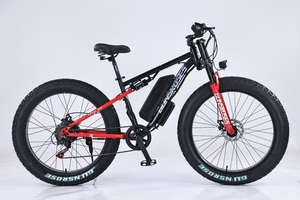 Moto de Nieve Eléctrica de Alta Calidad con Batería de Litio, Estilo Deportivo, para Adultos, Ideal para la Playa, Producto Popular en China - Product Image 6
