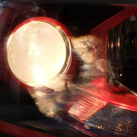 Feux avant LED projecteur style Mustang rouge et noir pour Ford Ranger Everest 2015 2016 2017 2018 2019