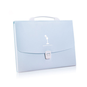 Custom Pockets Portable Plastic Accordion <b>File</b> Organizer Letter Size/A4 <b>Expanding</b> Travel <b>Folder</b> PP Binder Bag Handle Filing - Product Image 1