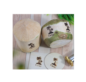 Noix de coco fruits fer timbre plage marque laiton timbre OEM personnalisé bricolage personnaliser cadeau maison cuisine outils et timbre - Product Image 4