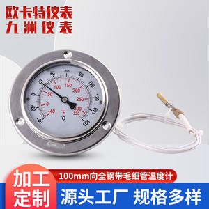 Tige de mesure de température industrielle en acier inoxydable 100 mm, tube capillaire axial tout acier avec bride et surface en verre - Product Image 2