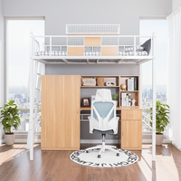Lit superposé double en métal moderne avec rangement, idéal pour les étudiants en dortoir scolaire et en appartement – Offre spéciale
