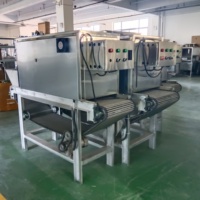 Équipement d'épluchage d'ail automatique Machine d'épluchage d'ail de pression d'air Machine d'épluchage d'ail de type chaîne