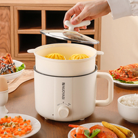 Marmite Électrique Portable avec Cuiseur Vapeur et Cuiseur à Riz Antiadhésif Domestique pour Cuisine