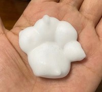 Bouteille en plastique HDPE de 250 ml, 300 ml, 10 oz, couleur personnalisée, avec pompe à mousse pour savon liquide, shampoing, gel douche, motif patte de chat ou fleur, et bouchon à vis.