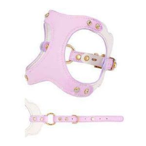 Arnés de Cuero Premium para Perros, Diseño de Moda, Acolchado, con Herrajes en Tono Dorado, Ajustable para Perros Pequeños y Medianos - Product Image 1