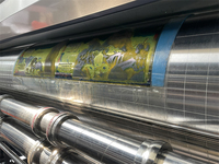 Machine d'impression et de découpe flexographique automatique économique 1/2/3/4/5/6 couleurs avec rainureuse pour la fabrication de cartons