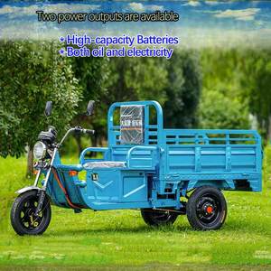 Usine directe <span class=keywords><strong>benne</strong></span> mini camion agricole cargo tricycle scooter vélo 3 roues électrique cargo tricycle - Product Image 6