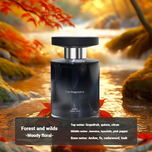 Diffuseur de parfum à roseaux en gros, moderne, liquide, aromathérapie, huile essentielle, luxe, maison et voiture - Product Image 6