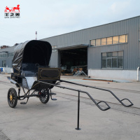 Calèche royale classique convertible de luxe personnalisée à 2 roues pour 2 passagers, idéale pour le tourisme, à vendre