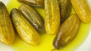 Concombres fermentés en marinade |   Fournisseur de cornichons en conserve en gros |   Prix d'exportation compétitif - Product Image 5