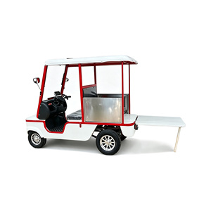 Voiturette de golf électrique Holladay 800W à <span class=keywords><strong>2</strong></span> <span class=keywords><strong>places</strong></span>, quadricycle électrique pliable avec plateau de chargement arrière, vélo électrique à quatre roues avec toit - Product Image 5