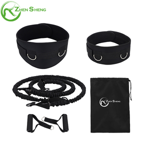 Zhensheng Set de Bandas de Resistencia Elásticas Tubulares de Látex TPR para Gimnasio y Fitness con Logo Personalizado, de 2 a 30 Lbs - Product Image 5