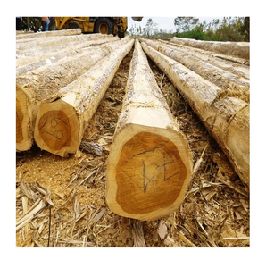 Proveedor de Madera de Teca en Troncos Redondos, Materia Prima de Madera, Precio al por Mayor para Uso Industrial - Product Image 3