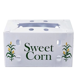 Có thể gập lại giá tốt không thấm nước PP rỗng Ngô bao bì hộp tái sử dụng sóng nhựa Poly vận chuyển trái cây doanh thu hộp - Product Image 4