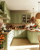 Lemari Dapur Gaya Shaker Hijau Amerika, Set Dapur Modular Kustom untuk Vila