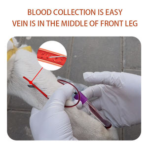 Prueba de embarazo canina original Prueba Rapaid Instrumento veterinario Perro Relaxin <span class=keywords><strong>Tes</strong></span> - Product Image 4