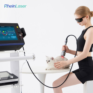 Thông minh Ice Class 4 điều trị bằng <span class=keywords><strong>laser</strong></span> thú y <span class=keywords><strong>Laser</strong></span> vật lý trị liệu thiết bị cho giảm đau và chấn thương phục hồi - Product Image 1