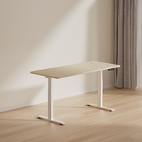 Bureau assis-debout électrique ergonomique moderne à double moteur en acier, réglable en hauteur automatiquement, personnalisable