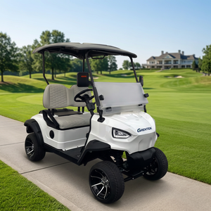 Carrito de Golf Eléctrico Mini de Primera Calidad con Certificación CE, con un Diseño Mejorado, Certificado por la CE, GCC y EEC para Carreteras No Públicas - Product Image 5