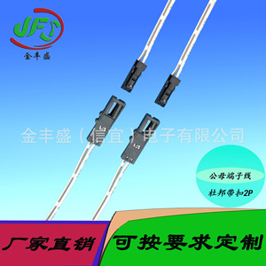 Jin Fengsheng DuPont 2P Connector 2.54mm Pitch Male Female Snap On Terminal Wire Harness For Kitchen Cabinet Light - Product Image 5