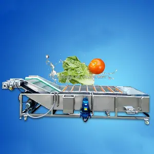 Máquina multifuncional comercial de lavar carne, repolho, legumes e melão, máquina de lavar bolhas de frutas e frutas, preço de atacado