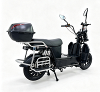 Vélo Électrique Urbain Double Siège pour Adultes de Haute Qualité – Vélo Électrique de Commutation pour 2 Personnes – Offre Spéciale