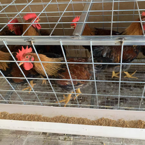 Prix d'usine, Ventes Flash : Grillage en fil d'acier galvanisé et en acier inoxydable de haute qualité - Product Image 2