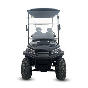 Carrito de golf eléctrico HLD, caja de carga con dosel de 2 plazas, batería de litio de 5kw y 72v, rango de 90km, Buggy de caza eléctrico chino, campo de golf - Product Image 2