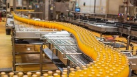 Vente directe de machines de pasteurisation pour le traitement du jus de lait Ligne de production de remplissage et d'emballage de jus