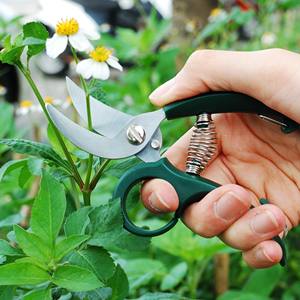 5-1/2 pouces cisailles florales outils d'élagage de jardin SK5 lame en acier à haute teneur en carbone anti-dérapant poignée Composite 70g sécateur léger - Product Image 3