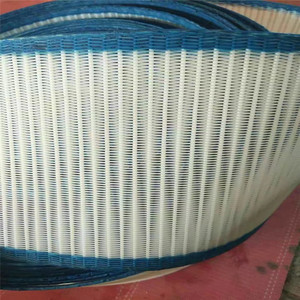Büyük Döngülü <span class=keywords><strong>Polyester</strong></span> Spiral Pres Filtre Örgü Bant. - Product Image 3