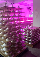 Cultiver Ampoule E27 15W LED Plante Lampe floraison ufo led lumière pour Maison Jardin Serre