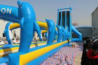 WINSUN Toboggan aquatique gonflable tropical commercial à double voie avec piscine à vendre