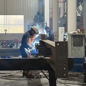 Casa prefabricada a prueba de huracanes de acero estructural de estructuras al aire libre de almacenamiento de cobertizos de fábrica asequibles de China - Product Image 1