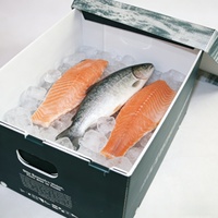 Boîtes en plastique creuses personnalisées en PP Coroplast pour l'emballage de crevettes et de fruits de mer surgelés