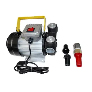 Pompe de transfert électrique DYB60 avec pompe de transfert électrique AC220V utilisée pour la pompe à palettes GPL diesel Grades de protection IP54