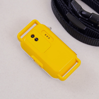 Collier GPS pour animaux de compagnie, étanche IPX7, avec batterie haute capacité, GSM Bluetooth, vente en gros