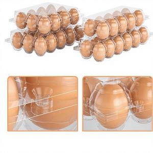 ถาดใส่ไข่พลาสติกรีไซเคิลแบบใส 15 หลุม พร้อมโลโก้สั่งทำ กล่องพลาสติก PP สำหรับบรรจุภัณฑ์ไข่ เป็นมิตรกับสิ่งแวดล้อม เหมาะสำหรับโปรโมทแบรนด์และขายปลีก - Product Image 1