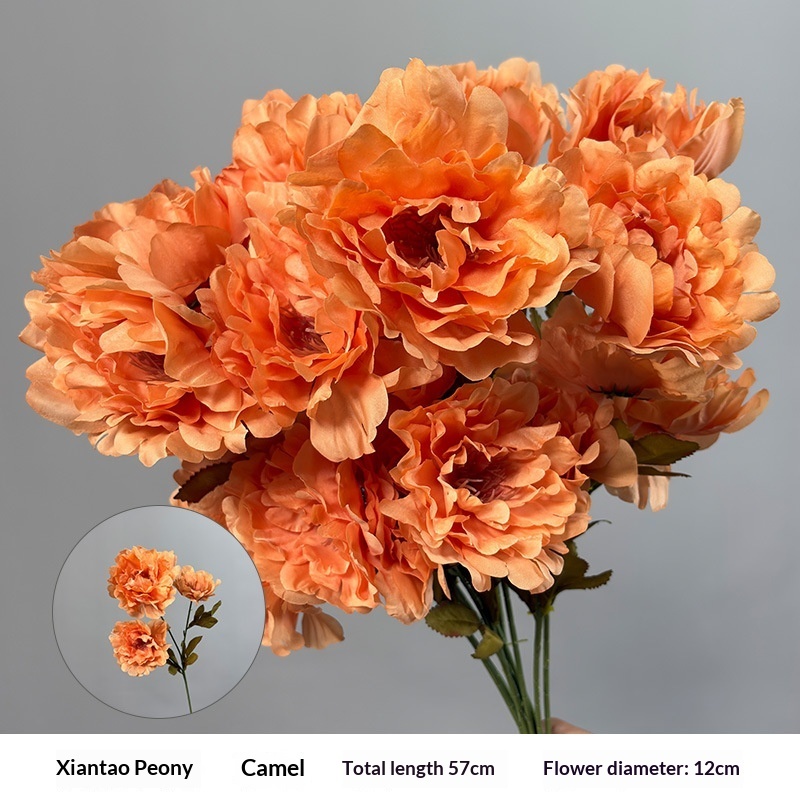 Xiantao Peony