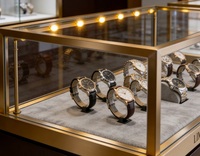 Vitrine de luxe pour montres avec cadre doré et éclairage LED – Présentoir durable et de haute qualité pour la vente au détail