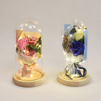 Cadeaux pour la fête des mères Rose naturelle éternelle préservée lumière LED dans un dôme en verre Led Valentines Sparkly Forever Flowers Rose Gift