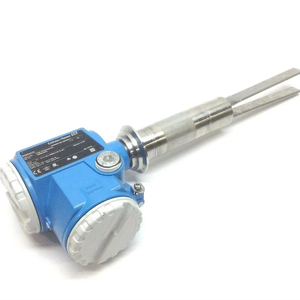 Nuevo Interruptor de Nivel de Punto Endress+Hauser FTM51 de Alta Calidad, Acero Inoxidable IP67 OEM para Agua y Aceite - Product Image 1